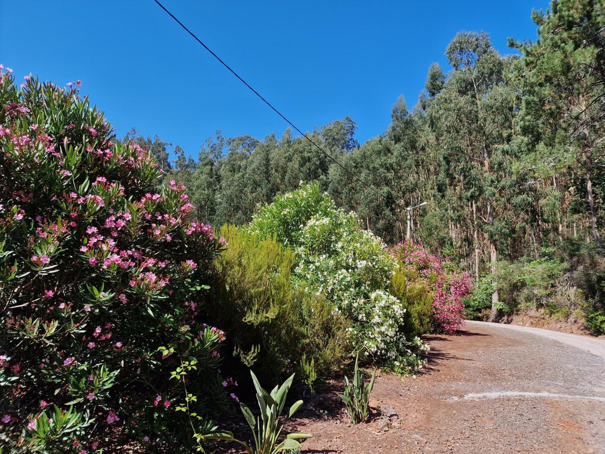 Cantinho Rural Camacha  Exterior photo